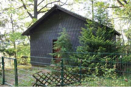 Haus zum Kaufen in Schmelz 82.000,00 € 40 m²