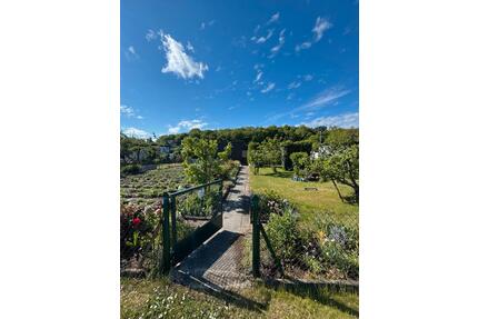 → Grundstücke & Gärten → Schrebergärten - Greifswald