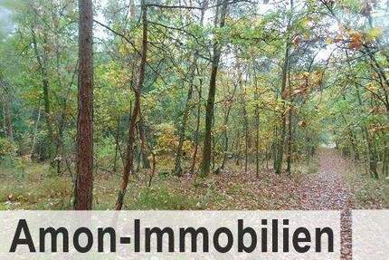 Waldfläche ca. 15.660 m² Waldgrundstück Mischwald am Dorfrand - Sprakensehl Bokel