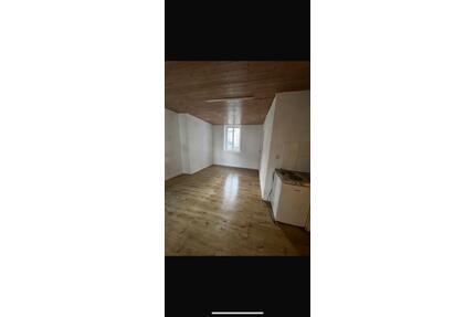 Apartment zu vermieten - 530,00&nbsp;EUR Kaltmiete, ca.&nbsp; 25,00&nbsp;m&sup2; in Villingen-Schwenningen (PLZ: 78056)