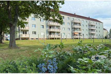 Wohnung zum Mieten in Wilkau-Haßlau 420,00 € 61.4 m²