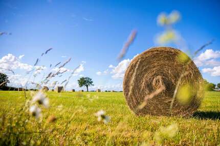 Grundstück in Straubing 31.860,00 € 3540 m²