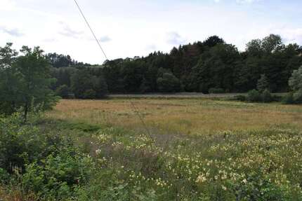 Grundstück zu verkaufen in Steinebach 25.245,00 € 561 m²