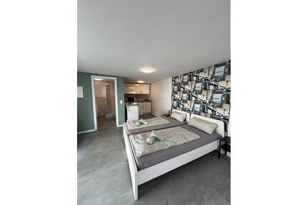 Gemütliche & Praktische Monteurwohnung in Laudenbach - Bensheim