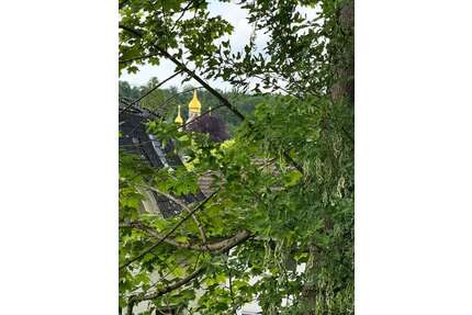 Wohnung zum Kaufen in Wiesbaden 920.000,00 € 117 m²