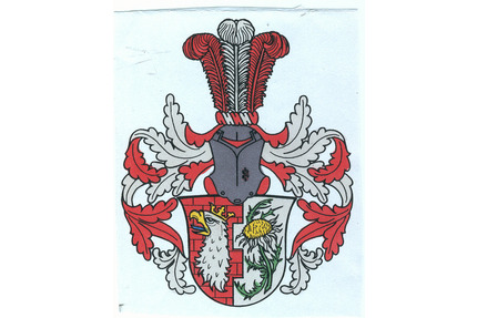 Älteres Bauernhaus zum günstigem Kaufpreis - Höchheim