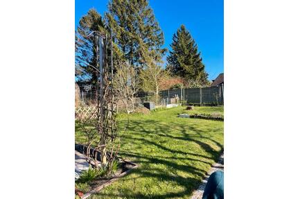 Kleingarten Schrebergarten Garten - Flensburg