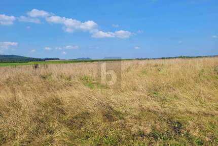 Grundstück zu verkaufen in Großlittgen 72.000,00 € 1000 m²