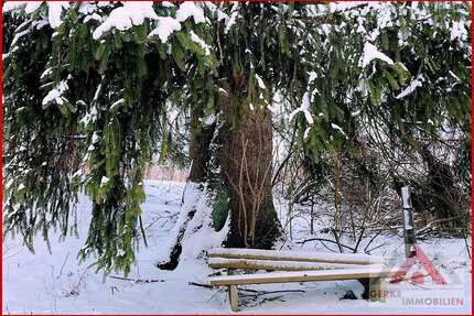Grundstück zu verkaufen in Medebach Oberschledorn 75.000,00 € 1100 m² - Medebach / Oberschledorn