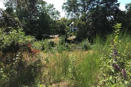 Baugrundstück in bevorzugter Wohnlage von Homburg