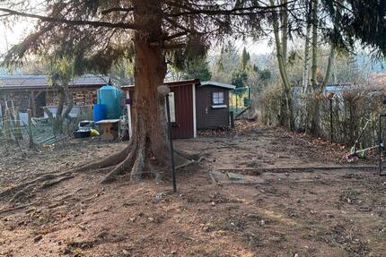 Pachtgarten 370qm - 750,00&nbsp;EUR Kaltmiete, ca.&nbsp; 0,00&nbsp;m&sup2; in Waltershausen (PLZ: 99880)