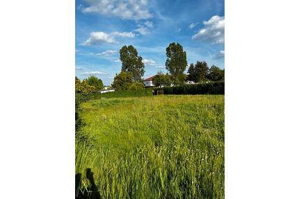 Mietfläche 960qm Gartenland Bauland in Bischofswerda