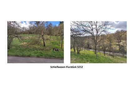 Streuobstwiese in Geradstetten - 2.100,00&nbsp;EUR Kaltmiete, ca.&nbsp; 0,00&nbsp;m&sup2; in Remshalden (PLZ: 73630)