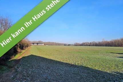 Haus zum Kaufen in Velpke 401.250,00 € 130 m²