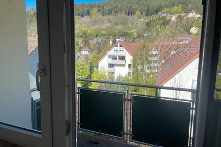 Gut geschnittene Wohnung in Schramberg