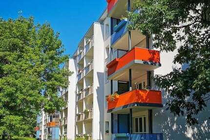 Wohnung zum Mieten in Freiberg 323,00 € 49 m²