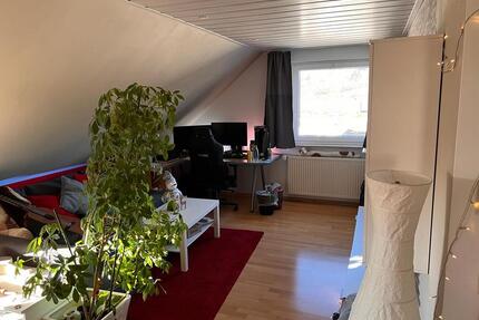 2,5- Zi.-DG Wohnung mit Einbauküche zu vermieten - Kasseedorf