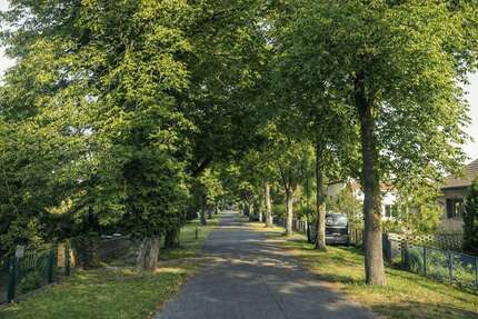 Grundstück zu verkaufen in Werneuchen 74.000,00 € 446 m²