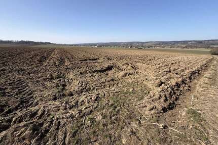 Grundstück in Reisbach Niederhausen 595.000,00 € 31258 m² - Reisbach / Niederhausen