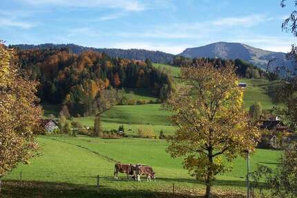 Haus zum Kaufen in Oberstaufen 780.000,00 € 230 m²
