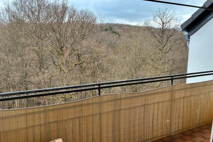 1-Zimmer-Wohnung mit Balkon und Blick ins Grüne - Marburg Biegenviertel