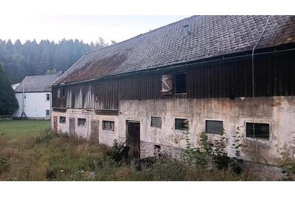 Scheune Lager Stellplatz Gewerbefläche Vermietung - Eibenstock