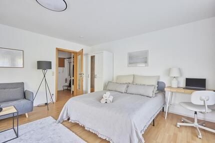 NEW- Imma -1 Zimmer Wohnung im idyllischen Walldürn-Glashofen