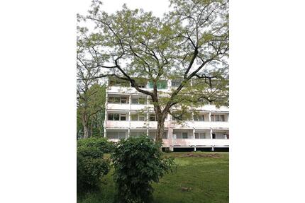 3-Raum Wohnung in Frankfurt - Nied - Frankfurt am Main