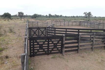 Exzellente Investitionsmöglichkeit im paraguayischen Chaco - Germering