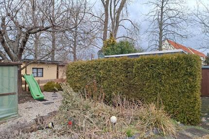 Garten abzugebenBesichtigung möglich - Zwickau Zwickau-Nord