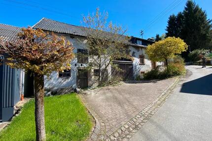 Altes Bauernhaus in der Eifel - 10.000,00&nbsp;EUR Kaufpreis, ca.&nbsp; 80,00&nbsp;m&sup2; in Mehren (PLZ: 54552)