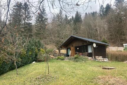 Kleingarten Garten Pachtgarten Suhl