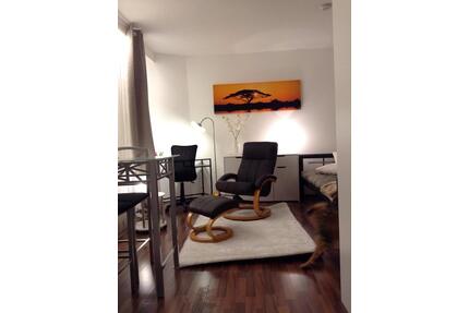 Möbliertes 1 Zimmer Apartment - 650,00&nbsp;EUR Kaltmiete, ca.&nbsp; 25,00&nbsp;m&sup2; in Pforzheim (PLZ: 75177) Nordstadt