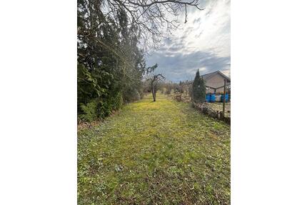 Grundstück zu verpachten: Leingarten Freizeitgrundstück