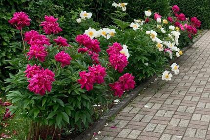 Gepflegte 3 Zimmer Wohnung Garage ab 01.10. oder 01.11.2026 - Aßlar