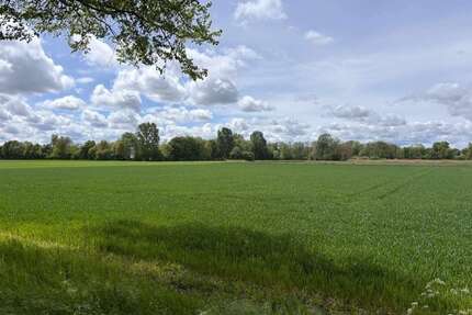 Grundstück in Ismaning 576.125,00 € 4609 m²