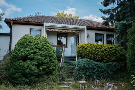 Naturparadies mit Sauna auf 2.803 m² Grundstück - Guben
