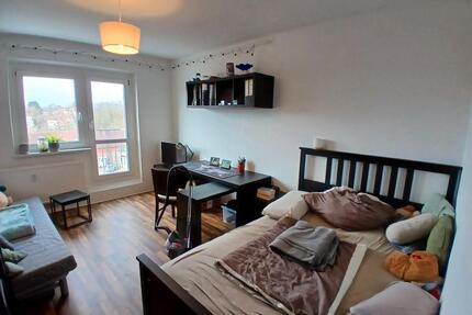 [ID 210] Schöne 1-Raumwohnung nahe Ryck - Greifswald Eldena