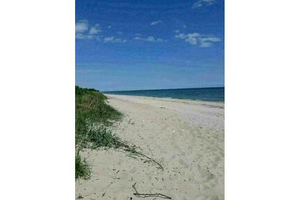 Ferienhaus an der Ostsee mit großem Garten Hunde willkommen - Heringsdorf
