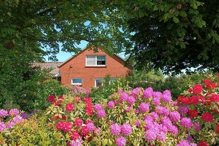Ferienhaus Hund, Nordsee in Ostfriesland, barrierefrei, Monteure - Westerholt
