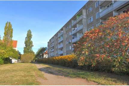 Wohnung zum Mieten in Halle 306,00 € 50.92 m²