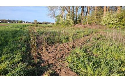 Freizeitgrundstück Schrebergarten Kleingarten Neustadt Donau - Neustadt an der Donau