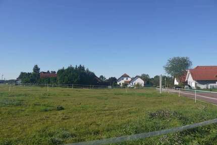 Grundstück zu verkaufen in Könnern-Kirchedlau 31.500,00 € 585 m²