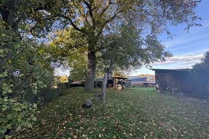 Haus zum Kaufen in Schöffengrund-Niederwetz 595.000,00 € 358 m²