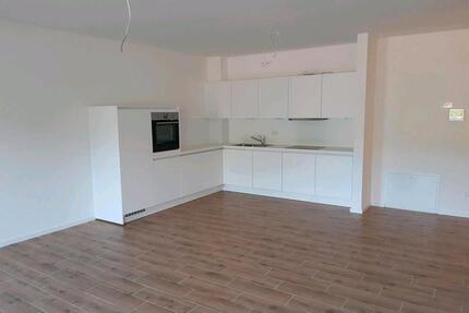 2 Zi-EG-Whg. 74m2 in Hassmersheim inkl. TG, EBK, Terrasse, Keller - Haßmersheim