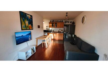 2-Zimmer Apartment 44qm in Offenbach-Mitte &Vollaustattung - Offenbach am Main