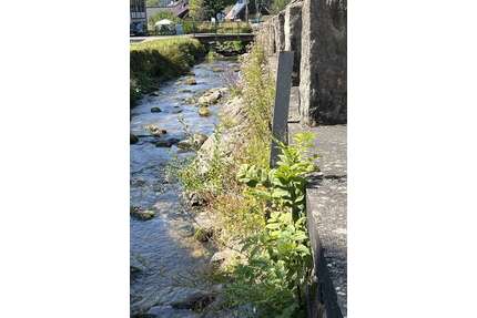 Grundstück zu verkaufen in Baden- Baden 149.000,00 € 467 m²