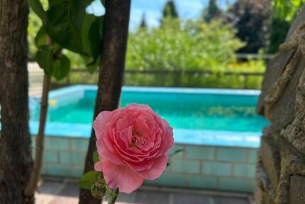 Ein Zuhause mit Urlaubsgefühl: Einfamilienhaus in Mahlsdorf - Berlin Treptow-Köpenick
