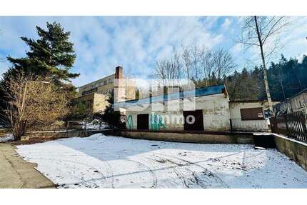 Grundstück in Hohenleuben 99.000,00 € 13048 m²