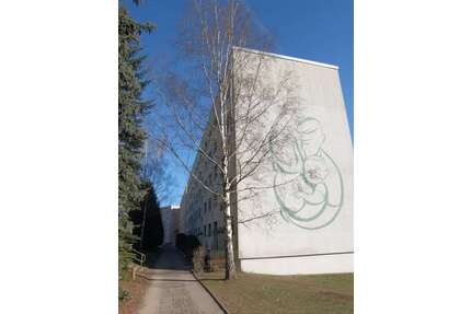 Wohnung zum Mieten in Döbeln 238,00 € 47.7 m²